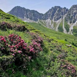 FVF2024_Arbeiten_Natur005