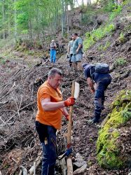 FVF2024_Arbeiten_Natur009