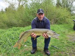 Dennis_HE_95cm_7_5_21