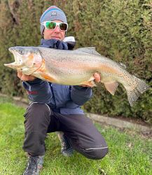 Regenbogenforelle_64cm_Untere_Ill_Dolovic